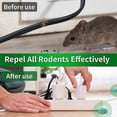 thumbnail image 4 of 12 Pack Mole Repellent, Mouse Repellent, Groundhog Repellent, Gopher Repellent, Vole Repellent for Lawn Garden Yard Outdoor, Armadillo Repellent, Mole, 4 of 4