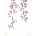 thumbnail image 3 of Deiter, Lori 12x14 Black Modern Framed Museum Art Print Titled - Weeping Cherry on White II, 3 of 5