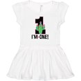 thumbnail image 3 of Inktastic 1st Birthday Cactus Cute Girls 1 Year Old Girls Baby Dress, 3 of 5