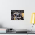thumbnail image 3 of Funny Walrus Silly Walrus Inside Wall Art Ready to Hang Unframed, 3 of 18