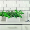 thumbnail image 3 of 12x3.8x4.6In Window Planter Box,QZS Rectangle Flower Pots for Indoor Outdoor Use,Plastic White Flower Box for Porch Window,Yard, 3 of 6
