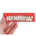 thumbnail image 1 of 28pcs Fixé Universel Resi Fausses Dents Dents en Résine Modèle, 1 of 2