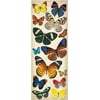 EK Success Natural Butterflies