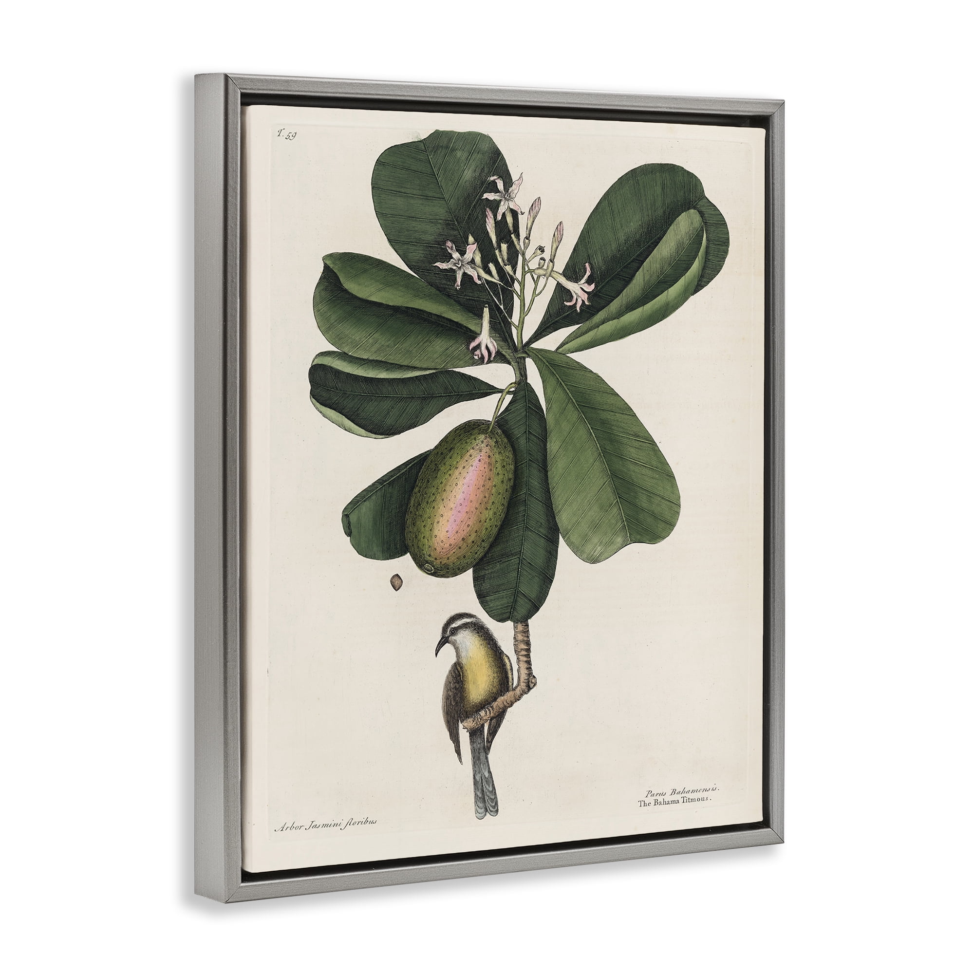 Stupell Industries Catesby Flora & Fauna Gray Framed Floater Canvas Wall Art, design by Print Collection