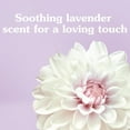 thumbnail image 4 of Suavitel Liquid Fabric Softener, Soothing Lavender, 50 oz, 4 of 11