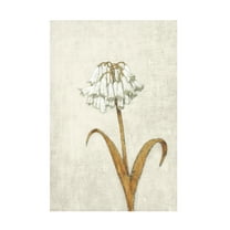 James Wiens 'Shimmering Summer II Ivory' Canvas Art