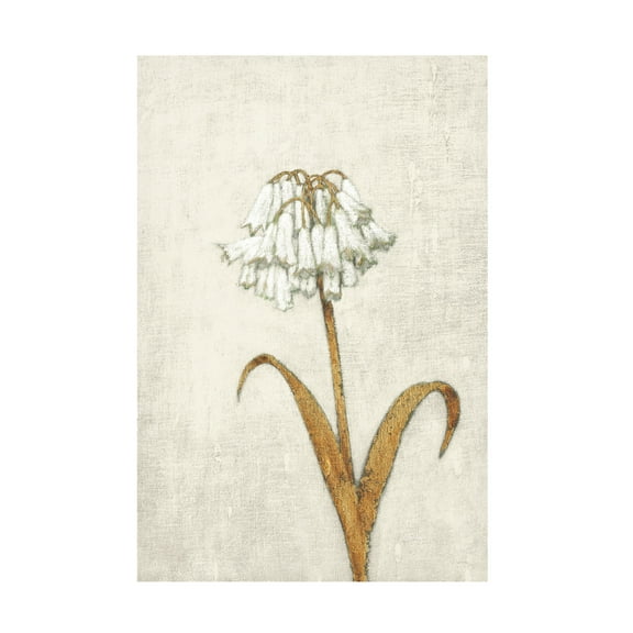 James Wiens 'Shimmering Summer II Ivory' Canvas Art