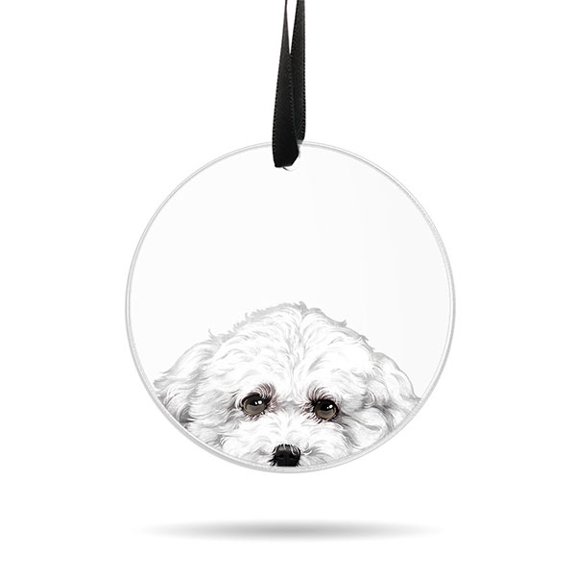 WIRESTER Large 3 inch Acrylic Ready to Hang Ornament, Hanging Ornaments for Christmas Tree Holidays Party Home Office Xmas Tree Decoration Gift - Animal Bichon Frise Dog