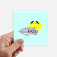 thumbnail image 1 of Air Quality PM2.5 Dis Sticker Square Waterproof Stickers Wallpaper Car Decal, 1 of 1