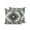 Sage Green, variant on Outdoor Pillows Waterproof, Brown Boho Bedding Throw Pillows with Insert for Couch Sofa Bed, Vintage Rustic Southwest Aztec Geometric 16x16 Inch Pillowcases Decorative Camping Patio Pillow Set of 2