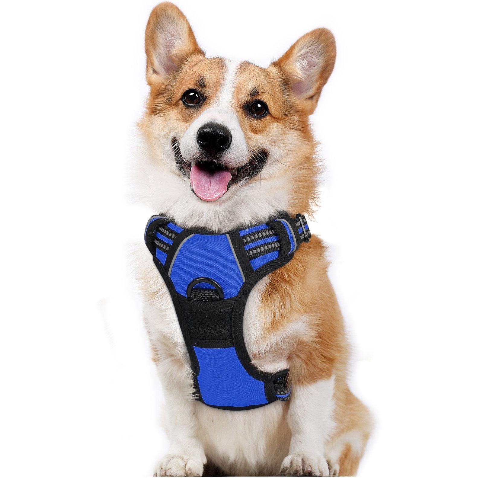 Eagloo dog harness shop review