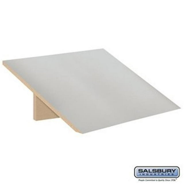 Salsbury 30052GRY Sloping Hood for Open Access Designer Locker & Designer Gear Locker, Gray - 24 in.