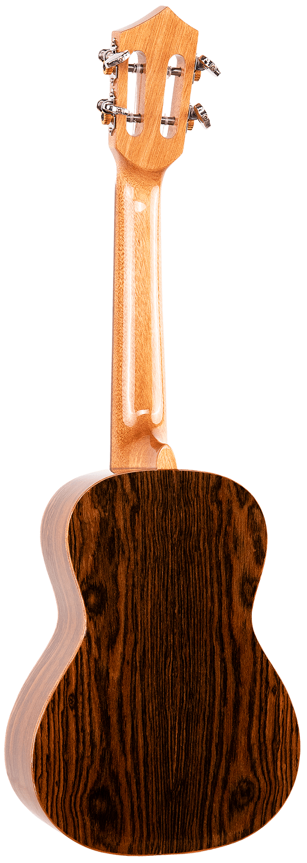 Eddy Finn Expression Series Concert Ukulele with Gig Bag, Butterfly Wood