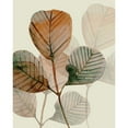 thumbnail image 3 of Boho Hue Studio 20x24 Black Modern Framed Museum Art Print Titled - Brown Leaves 2, 3 of 5