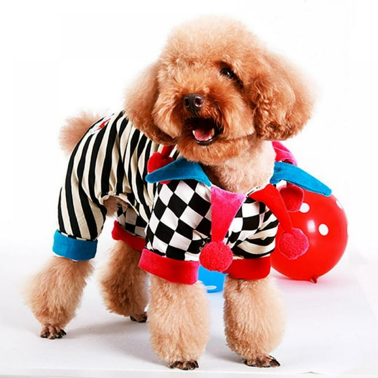 Dog french costume cheap