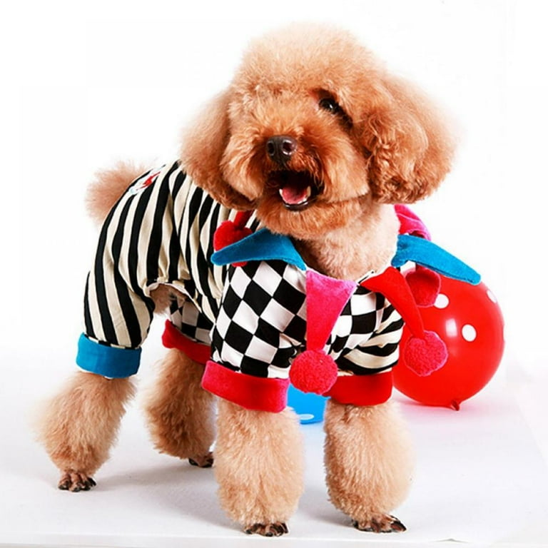 Dog Clothes & Dog Costumes : Target