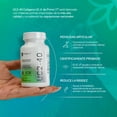 thumbnail image 5 of Primetech Nutrition Colágeno Tipo 2 No Desnaturalizado, UC2-40, 60 Cáps con 40 Mg UCII de Laboratorios Lonza, 5 of 5