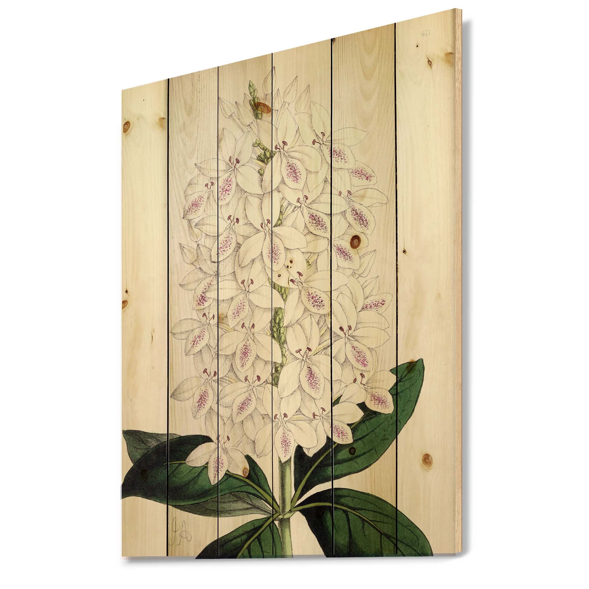 Designart 'Ancient White Orchid III' Traditional Print on Natural Pine Wood