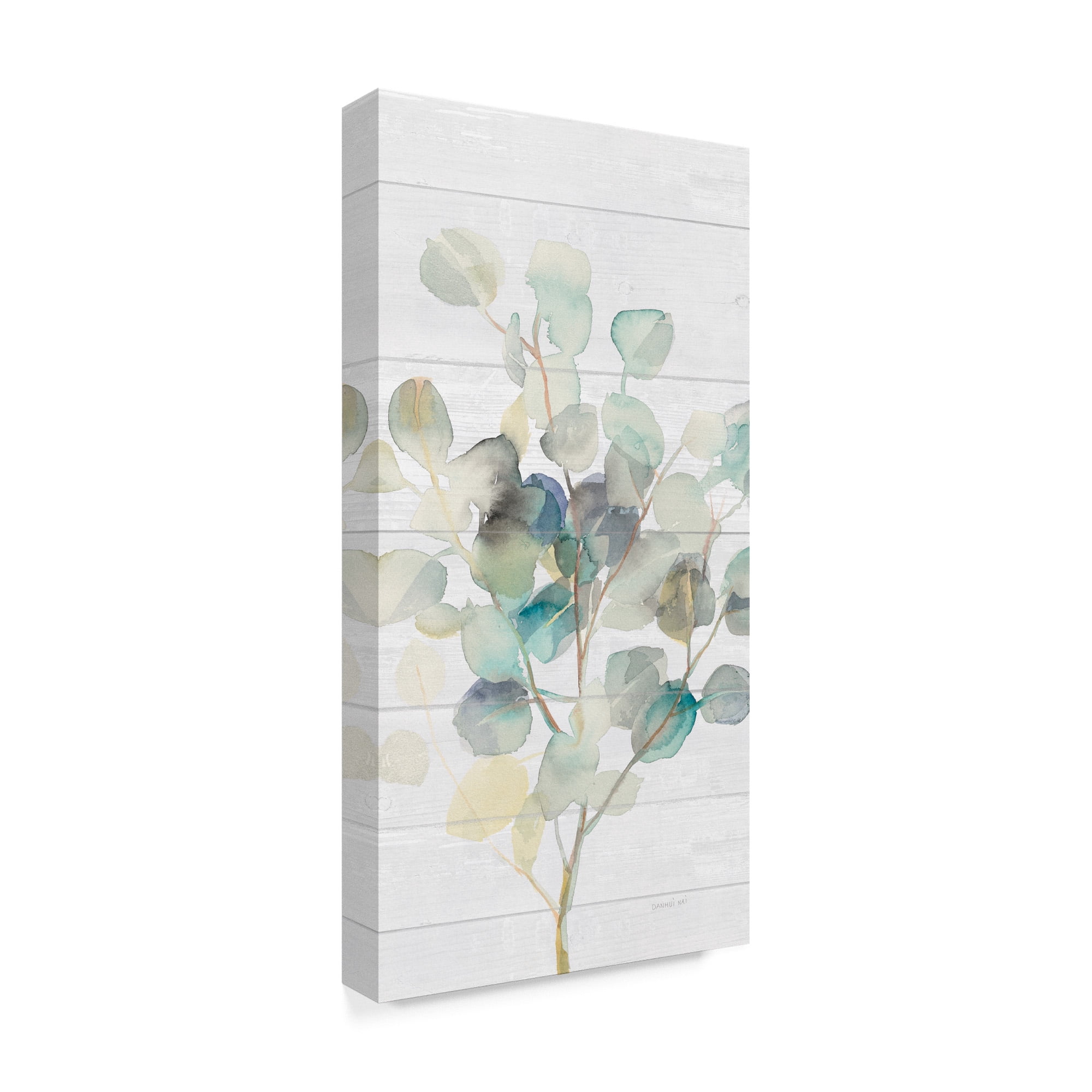 Trademark Fine Art 'Eucalyptus III on Shiplap Crop' Canvas Art by Danhui Nai