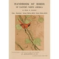 thumbnail image 2 of Tappan Adney 14x18 Gold Ornate Wood Frame and Double Matted Museum Art Print Titled - Handbook of Birds of Eastern North America (ca. 1890-1920), 2 of 4