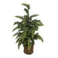 thumbnail image 1 of Holiday Time Weaven Base Tree, 1 of 6