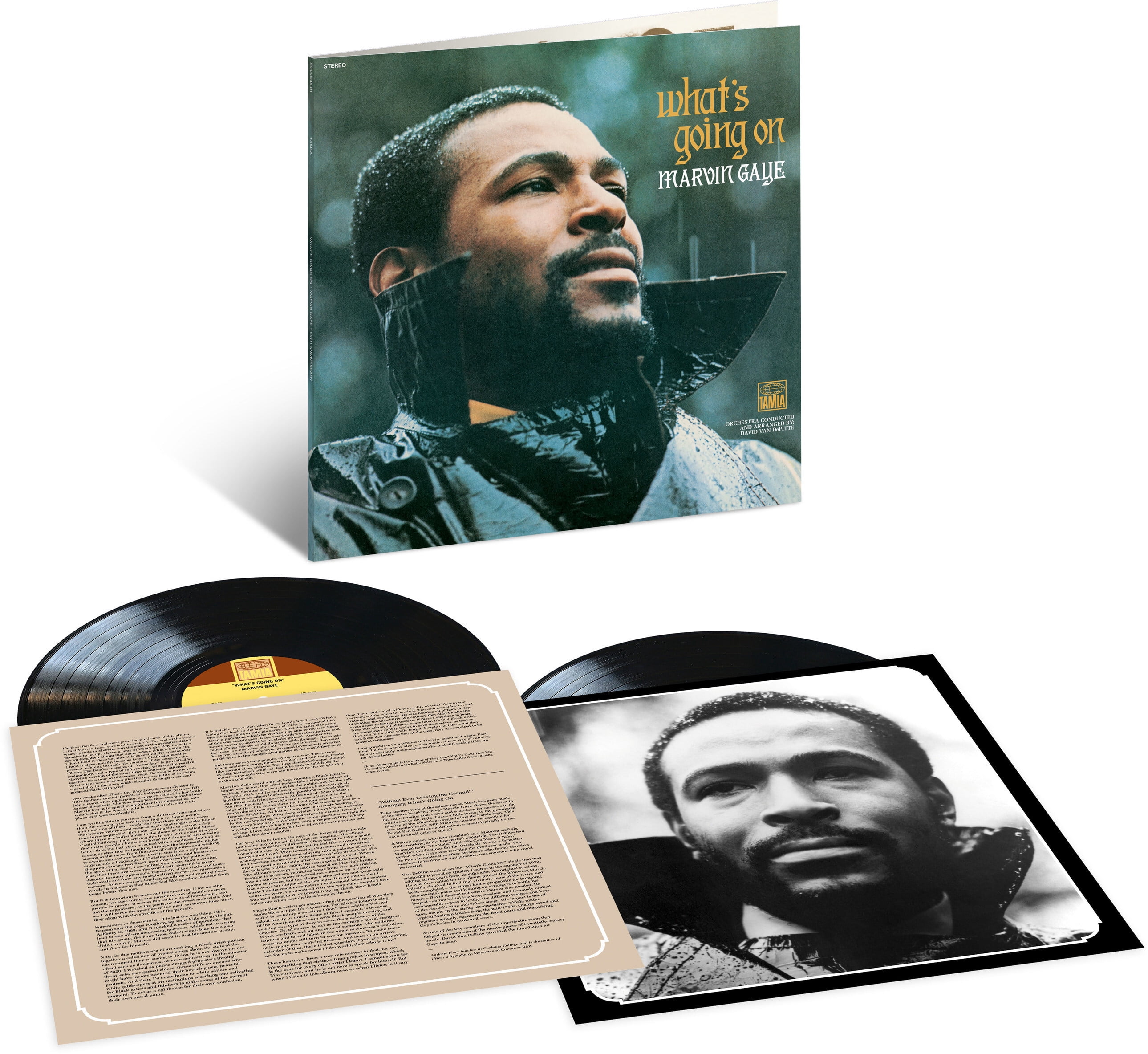 MARVIN GAYE / WHAT’S GOING ON(LP) Marvin Gaye - 'What's Going On' LP Record, R&B/Soul, Motown, Vinyl