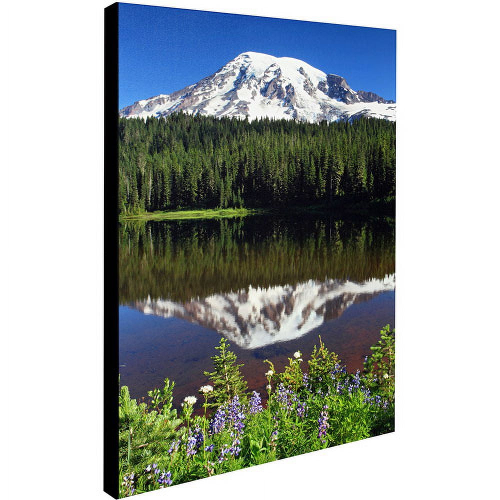 Trademark Fine Art "Rainier Wildflowers" Canvas Art by Pierre Leclerc