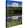 thumbnail image 2 of Trademark Fine Art "Rainier Wildflowers" Canvas Art by Pierre Leclerc, 2 of 3