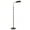 Blackend Brass, variant on Daylight24 56” 1-Light Antique Brass Cordless Floor Lamp with Adjustable Gooseneck