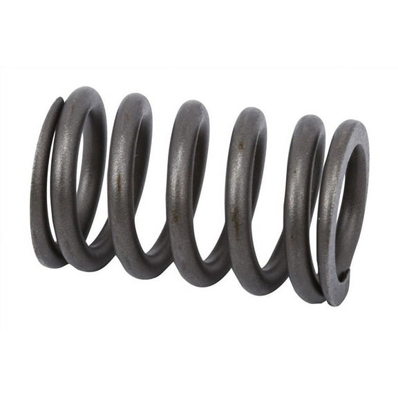 GM Genuine Parts Engine Valve Spring