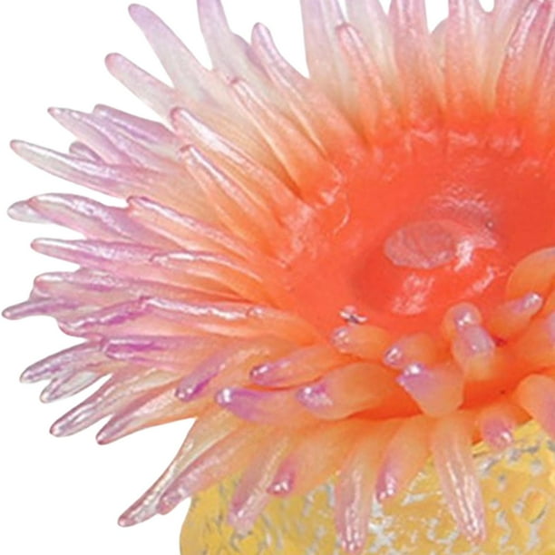 知育玩具 anemone Sea Creatures Sea Anemone Learning Toys Aquarium Landscape