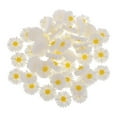 thumbnail image 1 of 50 Piezas DIY Cabujones de Resina con Espalda Plana BLESIY, 1 of 8