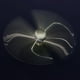 thumbnail image 2 of Punta Del Dedo Bolígrafo Anti-Óxido Multifuncional Giratorio Luminoso Metal Pluma Suave Descompresión Dedo Pluma Con Luz Led Para El Hogar Escuela Al Aire Libre Yuarrent FN002868-00, 2 of 6