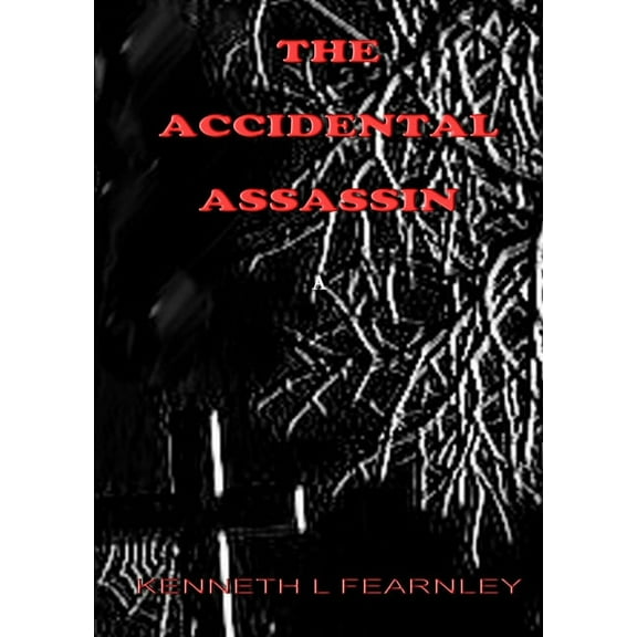 The Accidental Assassin (Paperback)