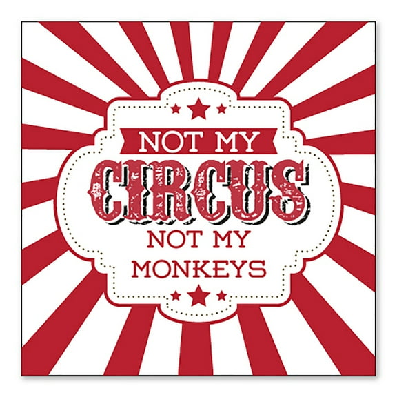 DistinctInk Custom Bumper Sticker - 8" x 8" Decorative Decal - White Background - Not My Circus, Not My Monkeys