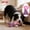 Pink, variant on Dog Squeaky Plush Bone - Shaped Toy - Corn Fleece Bound, Molar & Chew Resistant, Squeaky Sound For Boredom Relief, Blue - For Dogs, Pet Companionship, Interactive Play