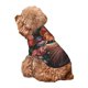 thumbnail image 5 of Balery Flower Crown Cat Sudadera con Capucha para Perros Pequeños – Ropa para Mascotas, Disfraz para Perros y Gatos, Ideal para Fiestas y Cosplay-Medium, 5 of 7