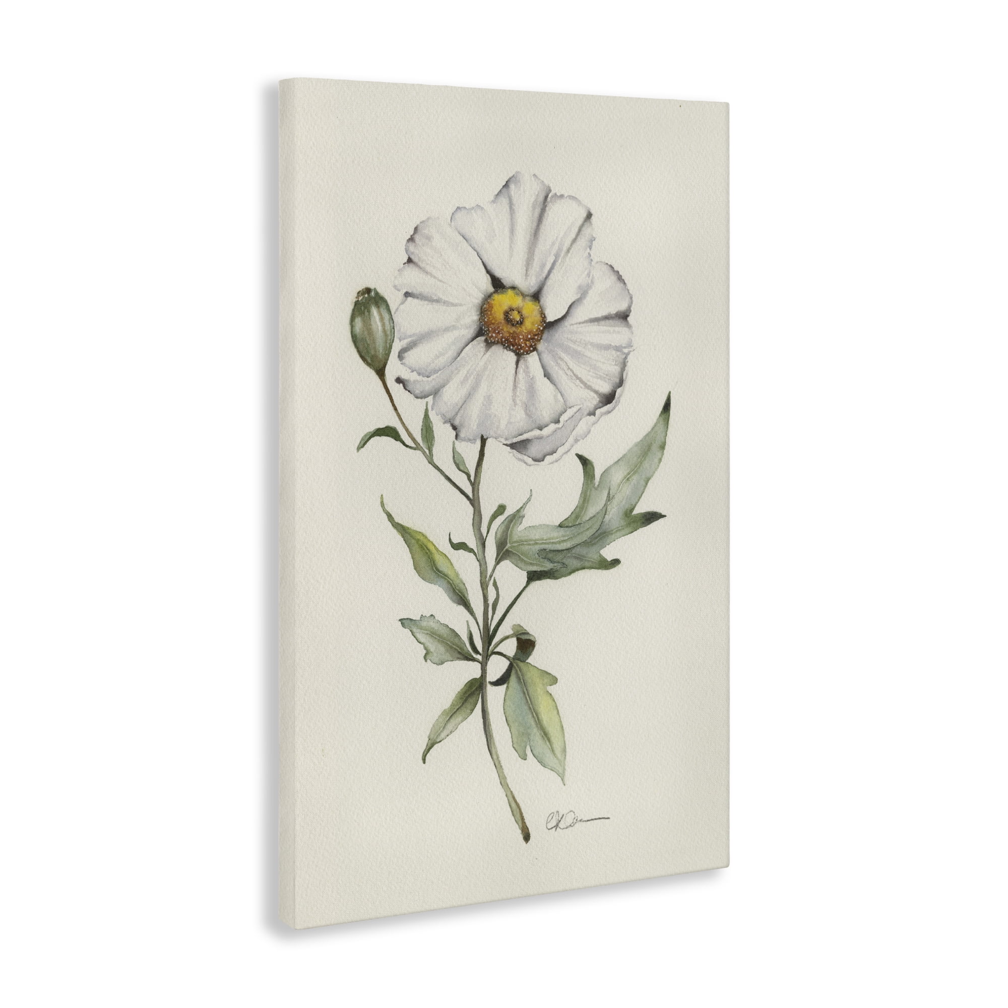 Stupell Industries Natural Wild Blossom Sprig Canvas Wall Art, design by Cady Driver