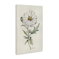 thumbnail image 2 of Stupell Industries Cottage Natural Wild Blossom Sprig Canvas Art, 16 x 24, by Cady Driver, 2 of 8