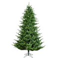 thumbnail image 1 of Vickerman A188565 6.5 Pi x 56 Po Takoma Sapin Plus Frasier avec 1243 Tip Count, 1 of 1