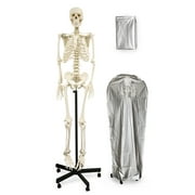 Vision Scientific Full Size Human Skeleton-66” (168cm)