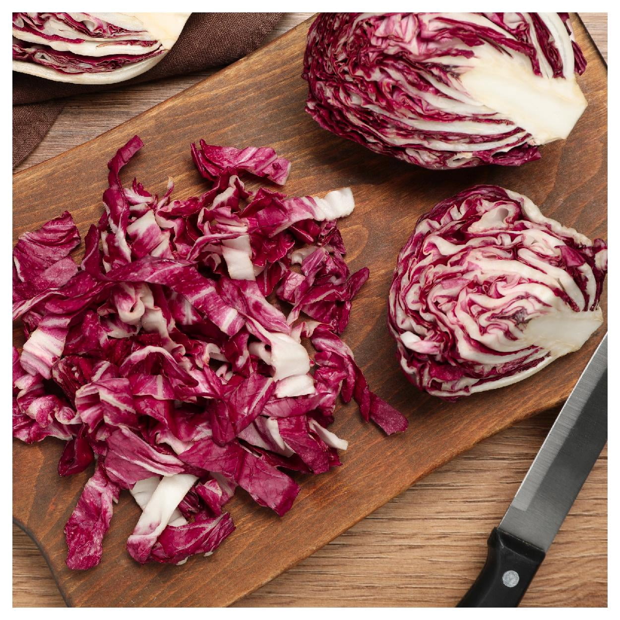 Everwilde Farms - 1 lb Rossa Di Verona Radicchio Endive Seeds - Gold Vault Bulk Seed Packet