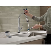 Delta Essa Single-Handle Pull-Down Kitchen Faucet - 9113T-DST - Chrome