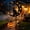 Pumpkin+Bat, variant on 2026 New Solar Halloween Black Cat & Pumpkin Moon Garden Stake Light | Pumpkin Lantern Outdoor Halloween Yard Decor for Garden, Patio, Lawn, Pathway