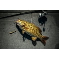 thumbnail image 6 of Berkley PowerBait® MaxScent Flat Worm, 3.6 in, Smelt, 6 of 10