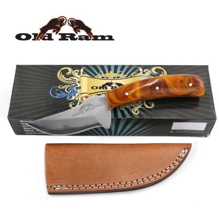 Old Ram Collection Heavy Duty Fixed Blade Skinner Knife w/ Leather Sheath