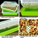 thumbnail image 4 of Zhuge Bandeja para germinar semillas con tapa Kit de germinación de brotes de soja sin BPA Cultivador de pasto de trigo, 4 of 5