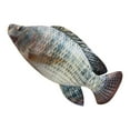 thumbnail image 2 of Realistic Fish Plush Pillow Toy - Crucian Carp Stuffed Animal with Soft Plush Material, 11.8 Inch Decorative Throw Cushion for Home Decor, Kids Gift, and Sofa Bedroom Decoration, 2 of 6