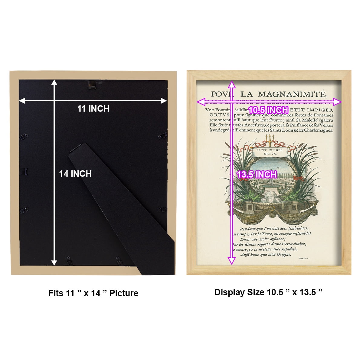 Printed Embellished Bookplate II - Framed Print w/glass - Natural Wood