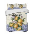 thumbnail image 2 of Lemon Twin XL Size Down Alternative Comforter,Lightweight Comforter Quilt Bedding Set with Pillow Shams Summer Vintage Yellow Fruits Italy Blue Textured All Seasons Bed Comforter Duvet Insert 68"x98", 2 of 7